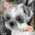 Tamara Bunt's profile image