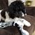 Sheila Vanderwell Brown's profile image