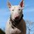 Bob Venema's profile image