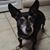 Jennifer Daxon-Bagby's profile image