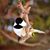 Robin Flohr's profile image