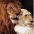 Phillipa Taylor's profile image