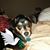 Everly Blevins McGlennen McKinney's profile image
