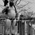 Alexander Kepford's profile image