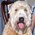 Cathy Doogan's profile image