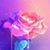 Leah Casconi's profile image