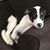 Mark Cianfaglione's profile image