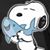 Donna Beberniss's profile image