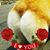 Ashlee Ortiz's profile image