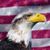 Christopher Pritchard's profile image