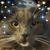 Kerrina Cragun's profile image