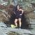 Rachel Woods's profile image