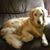 Marcia Mcallister's profile image