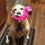 Annmarie Anderson's profile image