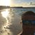 Ray Guillen's profile image