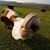 Amanda Lynn's profile image
