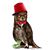 Chris Gray EL's profile image