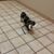 Deanie Nelder's profile image