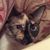 Connie Baker-Pierpont's profile image