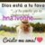 Ivonne Lopez's profile image