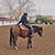 Briana Meggers's profile image