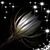 Natalie Leek's profile image