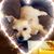 Tara Stiff's profile image