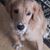 Amy Hardy's profile image