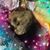 Nancy L Conley's profile image