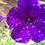 Edward Ellien's profile image