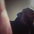 Nicholas Lorusso's profile image