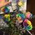 Jennifer Marie Merideth's profile image