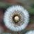 Jody Schreiber Kennedy's profile image