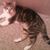 Vickie Flannigan's profile image