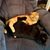 Marie Fredella's profile image