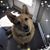 Sandy Anderson's profile image