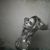Tara Tisch's profile image