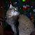 Melissa Nott Schmitz's profile image