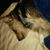 Mark Coburn's profile image