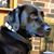Abby Nordmeyer Schmitz's profile image