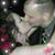 Lillnette Lewis's profile image