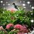 Shelly M Shields's profile image