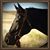 Sherry Kublic's profile image