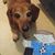 Joy D. Rockwood's profile image
