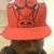 Kason Wale's profile image