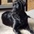 Harry Ganey's profile image