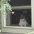 Jenny Granat's profile image