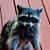 Martin Schopp's profile image