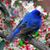 Rosalie Vincent's profile image