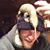 Roger Gauthier's profile image